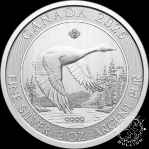 Moneda de Plata Ganso 2 oz BU - Canadá - 2025 - Reverso