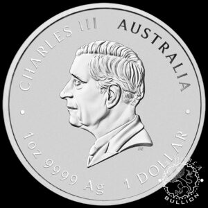 Moneda de Plata Pillar Dollar (Columnario) 1 oz BU - Australia - 2025 - Anverso