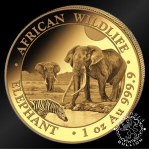Moneda de Oro Elefante 1 oz BU - Somalia - 2026 - Reverso